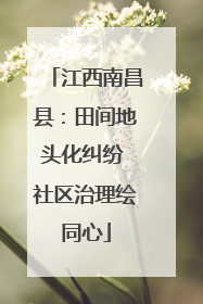 江西南昌县：田间地头化纠纷 社区治理绘同心