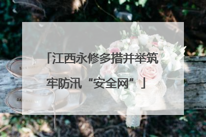 江西永修多措并举筑牢防汛“安全网”