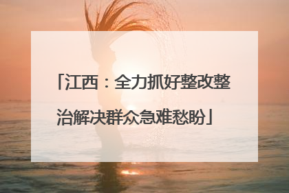 江西：全力抓好整改整治解决群众急难愁盼