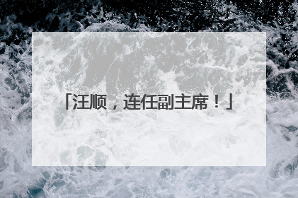 汪顺，连任副主席！