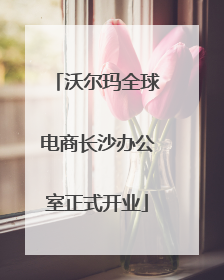 沃尔玛全球电商长沙办公室正式开业