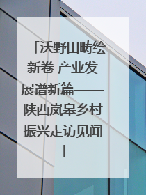 沃野田畴绘新卷 产业发展谱新篇——陕西岚皋乡村振兴走访见闻