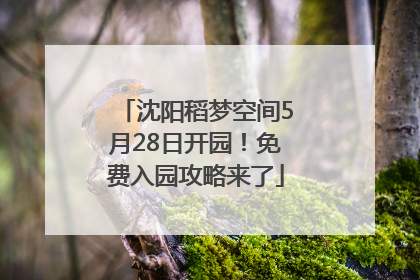 沈阳稻梦空间5月28日开园！免费入园攻略来了