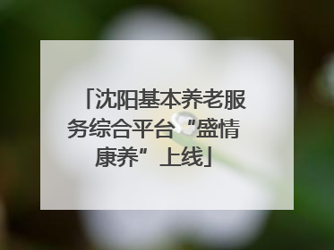 沈阳基本养老服务综合平台“盛情康养”上线