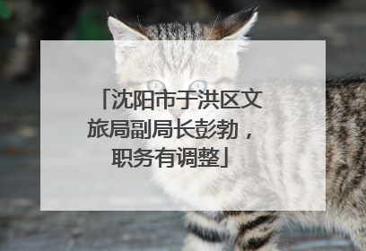 沈阳市于洪区文旅局副局长彭勃，职务有调整