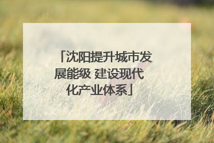 沈阳提升城市发展能级 建设现代化产业体系