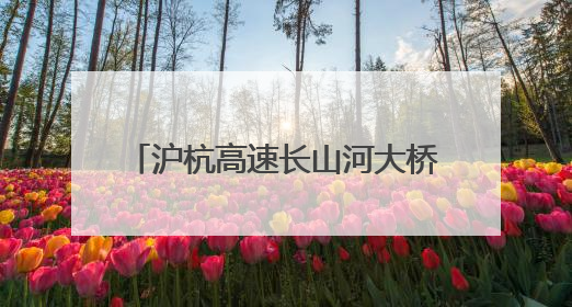 沪杭高速长山河大桥东半幅钢桁梁合龙