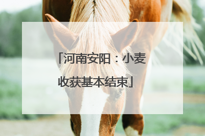 河南安阳：小麦收获基本结束