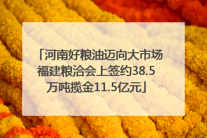 河南好粮油迈向大市场 福建粮洽会上签约38.5万吨揽金11.5亿元