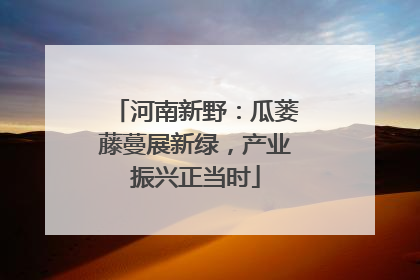 河南新野：瓜蒌藤蔓展新绿，产业振兴正当时