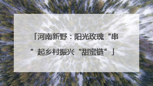 河南新野：阳光玫瑰“串”起乡村振兴“甜蜜链”