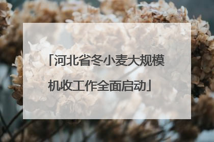 河北省冬小麦大规模机收工作全面启动