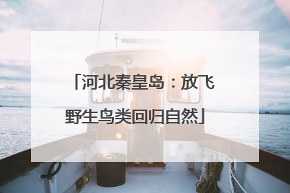 河北秦皇岛：放飞野生鸟类回归自然
