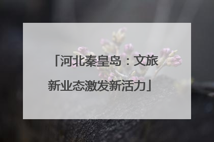 河北秦皇岛：文旅新业态激发新活力