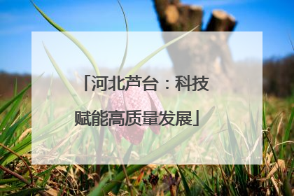 河北芦台：科技赋能高质量发展