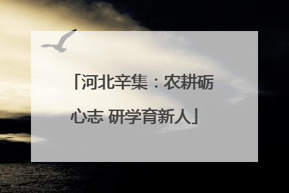 河北辛集：农耕砺心志 研学育新人