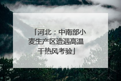 河北：中南部小麦生产区遭遇高温干热风考验
