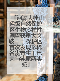 河源大桂山省级自然保护区生物多样性调查获重大突破——保护区首次发现珍稀名贵野生干巴菌与钝尾两头蛇