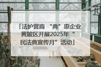 法护营商 “典”惠企业 黄陂区开展2025年“民法典宣传月”活动