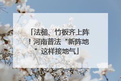 法槌、竹板齐上阵！河南普法“新阵地”这样接地气