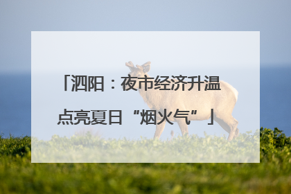 泗阳：夜市经济升温 点亮夏日“烟火气”