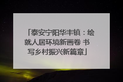泰安宁阳华丰镇：绘就人居环境新画卷 书写乡村振兴新篇章