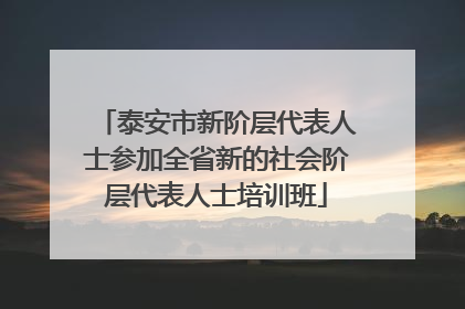 泰安市新阶层代表人士参加全省新的社会阶层代表人士培训班