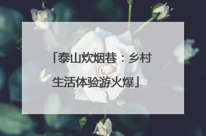 泰山炊烟巷：乡村生活体验游火爆