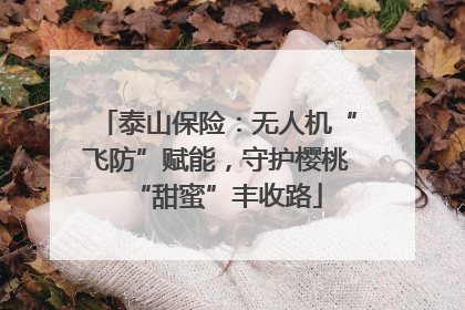 泰山保险：无人机“飞防”赋能，守护樱桃“甜蜜”丰收路