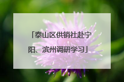 泰山区供销社赴宁阳、滨州调研学习