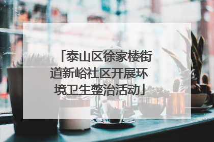 泰山区徐家楼街道新峪社区开展环境卫生整治活动