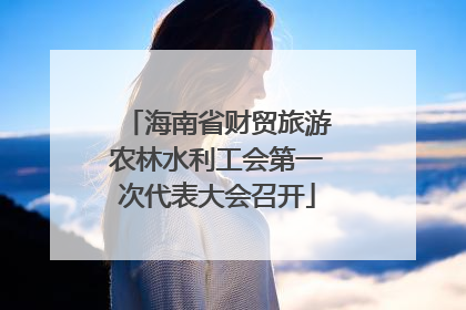 海南省财贸旅游农林水利工会第一次代表大会召开