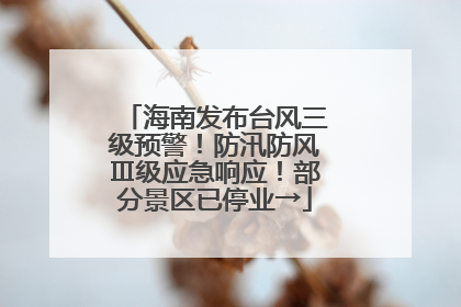 海南发布台风三级预警！防汛防风Ⅲ级应急响应！部分景区已停业→