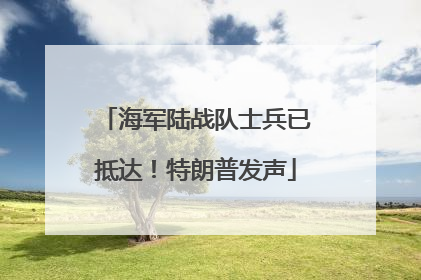 海军陆战队士兵已抵达！特朗普发声