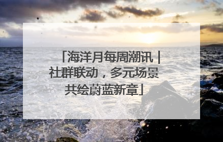 海洋月每周潮讯｜社群联动，多元场景共绘蔚蓝新章