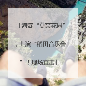 海淀“莫奈花园”，上演“稻田音乐会”！现场直击