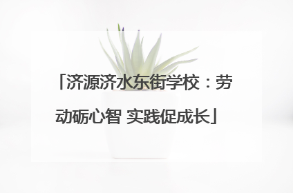 济源济水东街学校：劳动砺心智 实践促成长