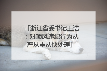 浙江省委书记王浩：对顶风违纪行为从严从重从快处理