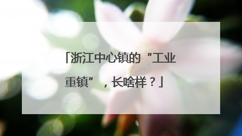 浙江中心镇的“工业重镇”，长啥样？