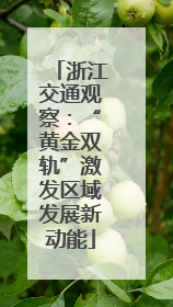 浙江交通观察：“黄金双轨”激发区域发展新动能