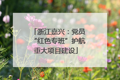 浙江嘉兴：党员“红色专班”护航重大项目建设