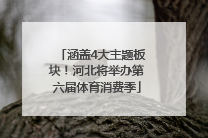 涵盖4大主题板块！河北将举办第六届体育消费季