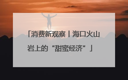 消费新观察丨海口火山岩上的“甜蜜经济”