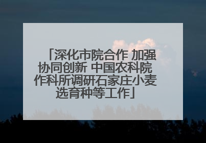 深化市院合作 加强协同创新 中国农科院作科所调研石家庄小麦选育种等工作