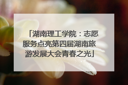 湖南理工学院：志愿服务点亮第四届湖南旅游发展大会青春之光