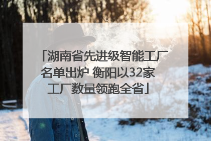 湖南省先进级智能工厂名单出炉 衡阳以32家工厂数量领跑全省