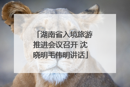 湖南省入境旅游推进会议召开 沈晓明毛伟明讲话