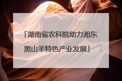 湖南省农科院助力湘东黑山羊特色产业发展