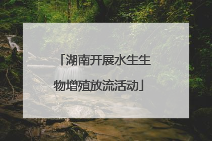 湖南开展水生生物增殖放流活动