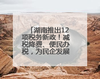 湖南推出12项税务新政！减税降费、便民办税，为民企发展“减负加油”